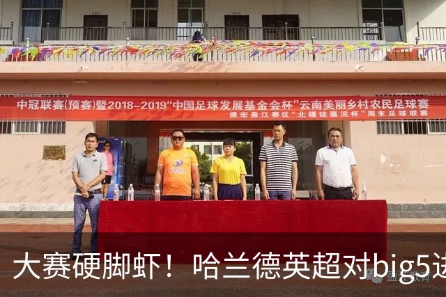 大赛硬脚虾！哈兰德英超对big5进球+助攻37个 超越拉什福德孙兴慜